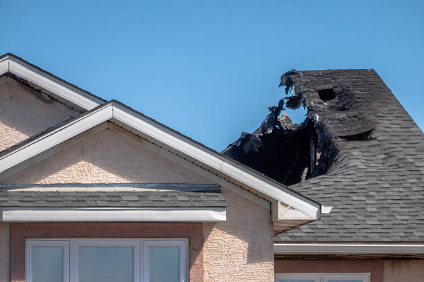 Top rated local Fire Damage Assessment specialists in Rosemount, MN
